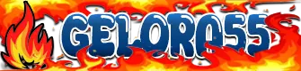 Logo GELORA55